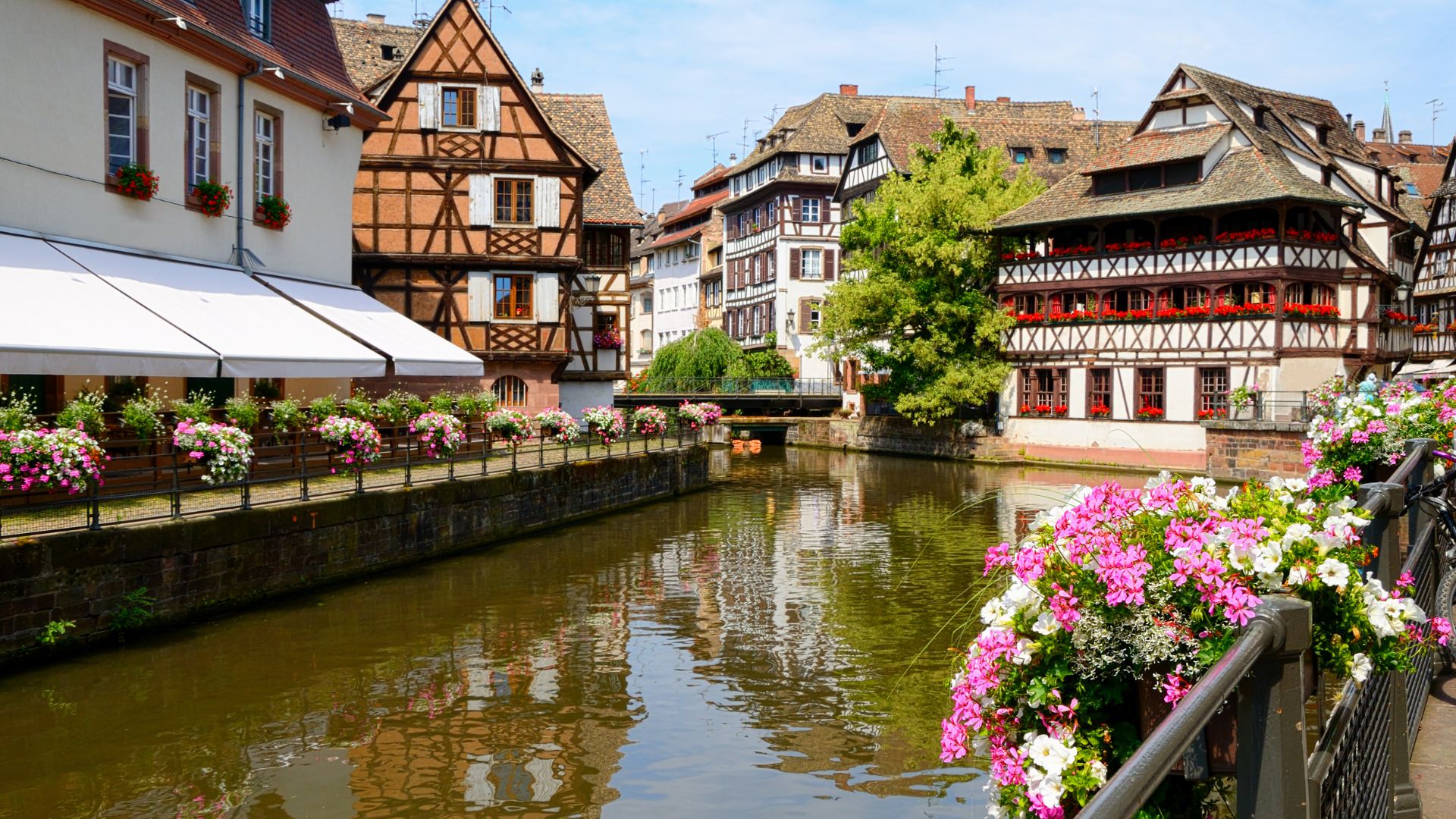 Alsace Day Trip From Paris 